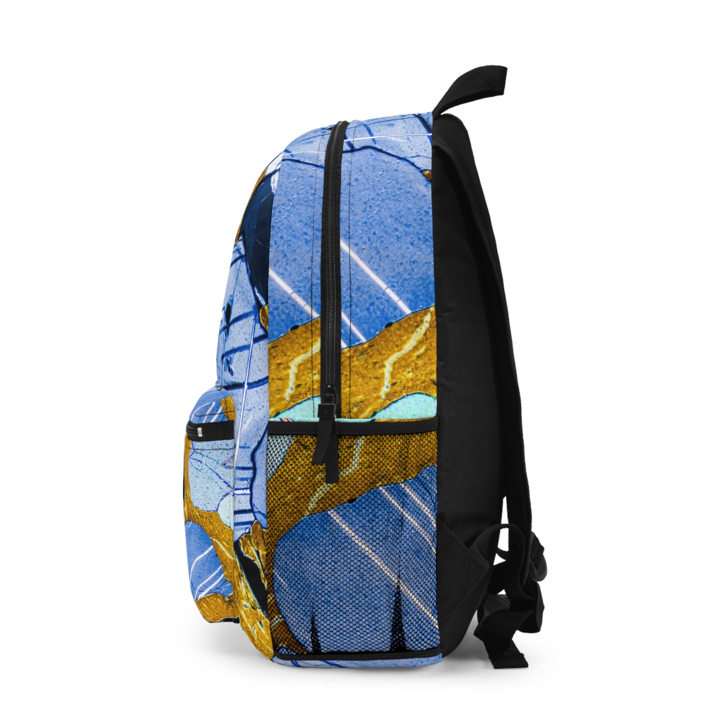 Plagioclase in Pyroxene Backpack