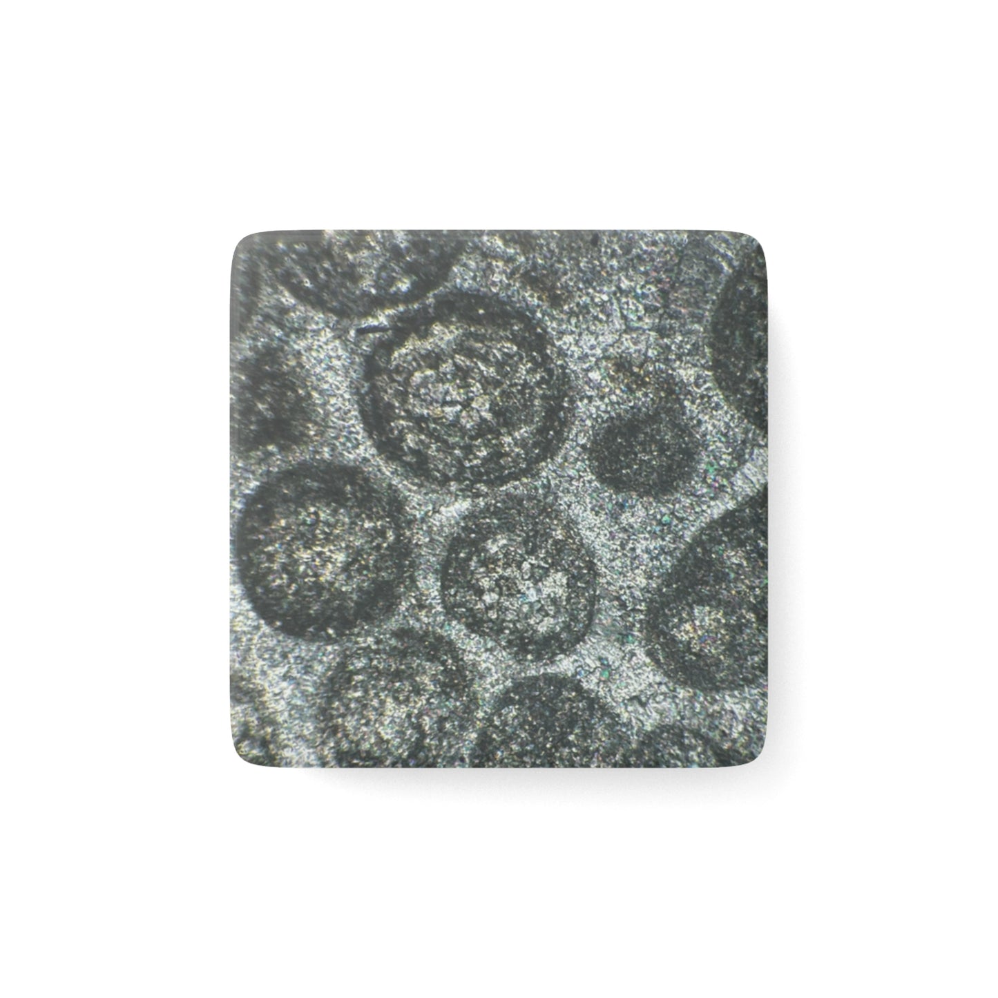 Oolitic Limestone Porcelain Magnet
