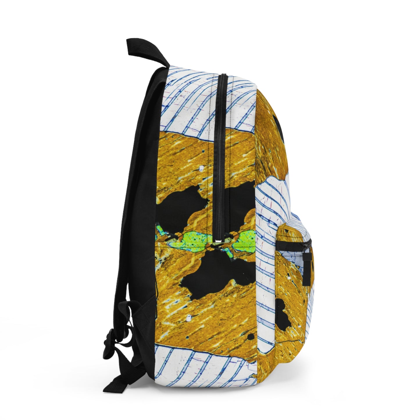 Plagioclase in Pyroxene Backpack