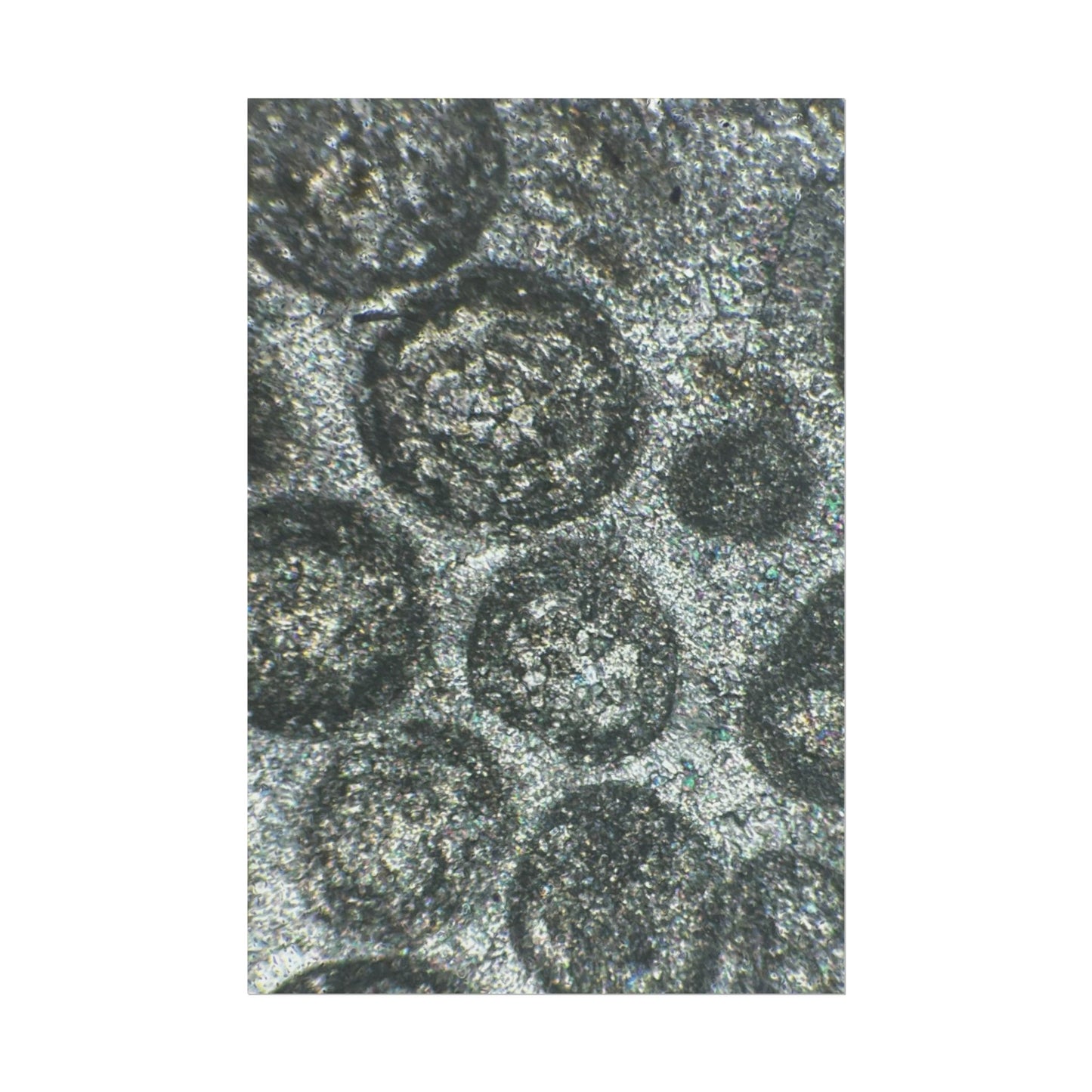 Oolitic Limestone Rolled Posters