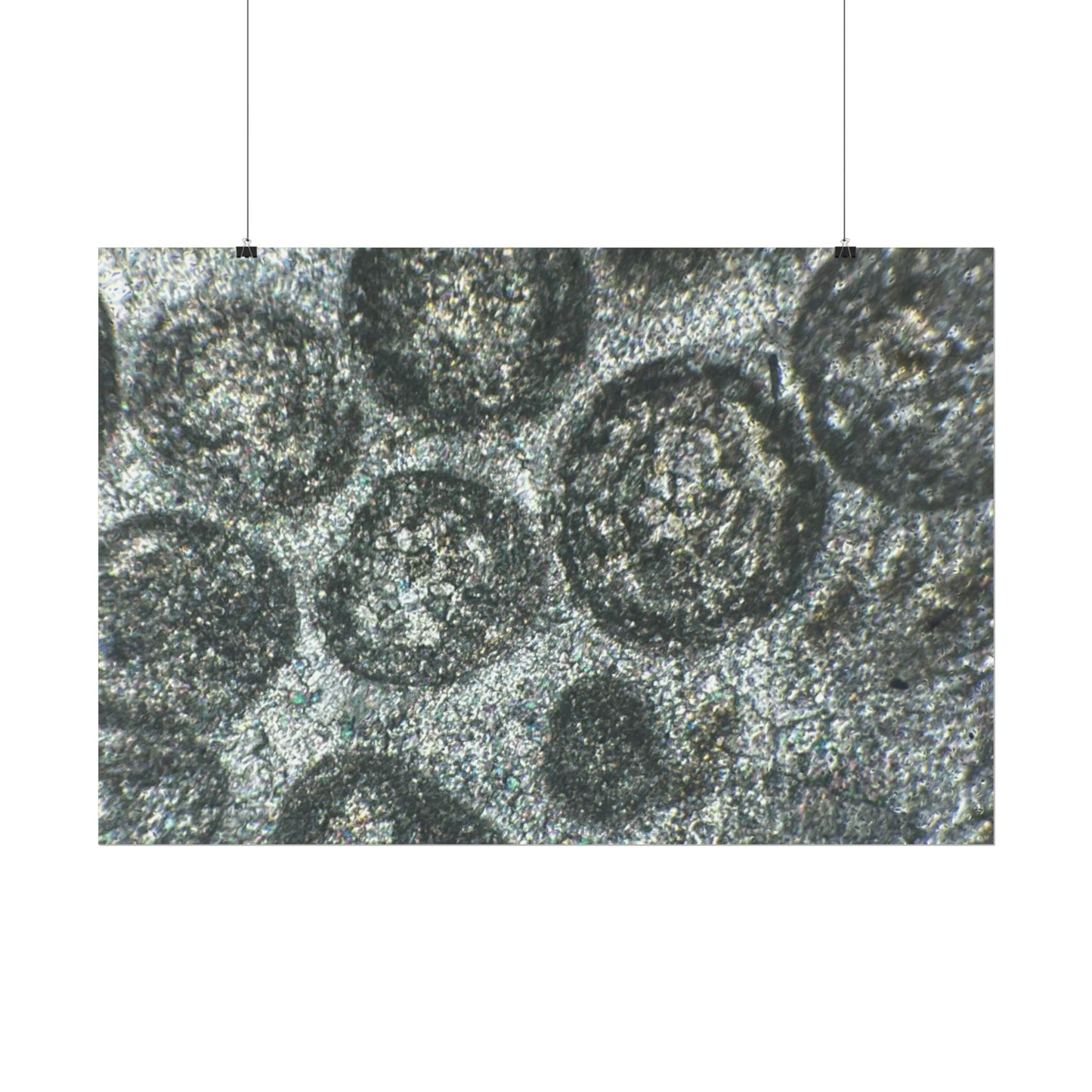 Oolitic Limestone Rolled Posters