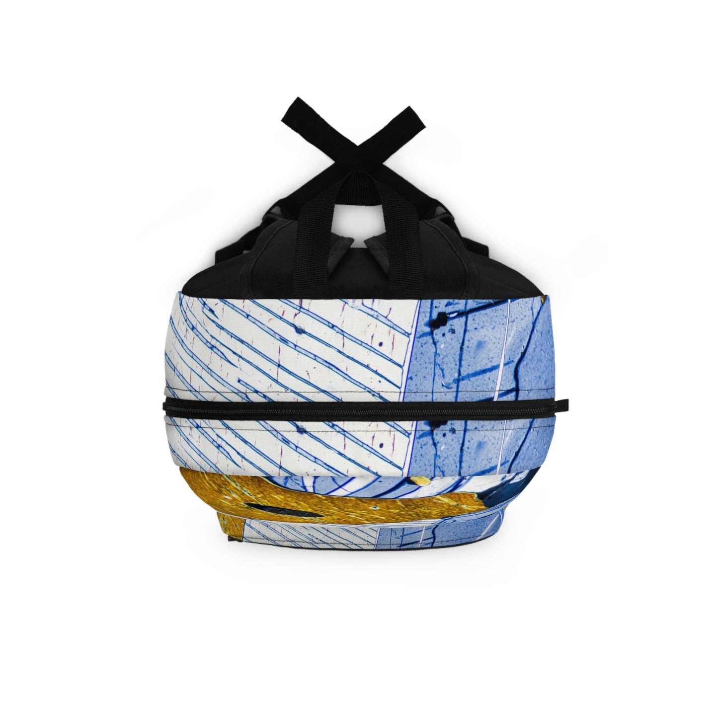 Plagioclase in Pyroxene Backpack