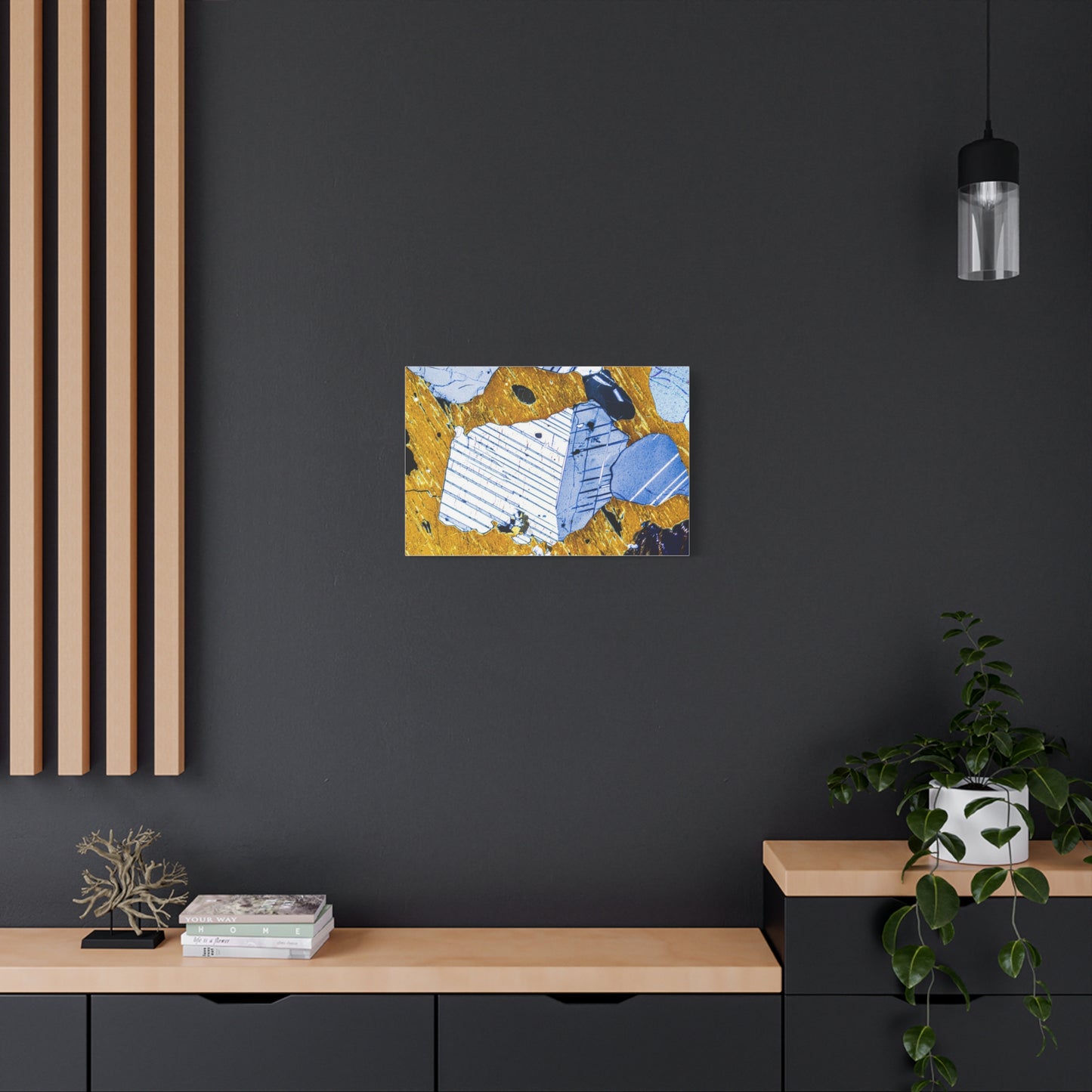 Plagioclase in Pyroxene Canvas Wall Art