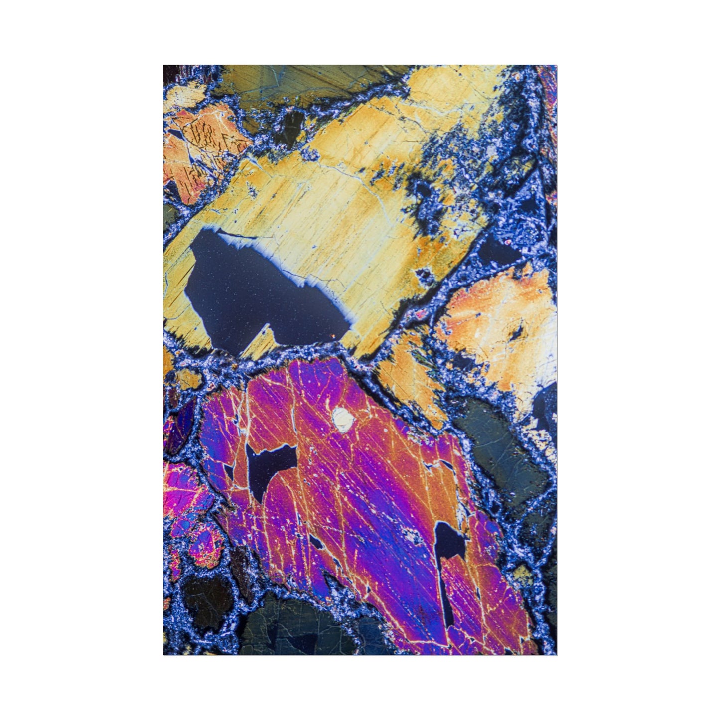 Clinopyroxene Wings Rolled Posters