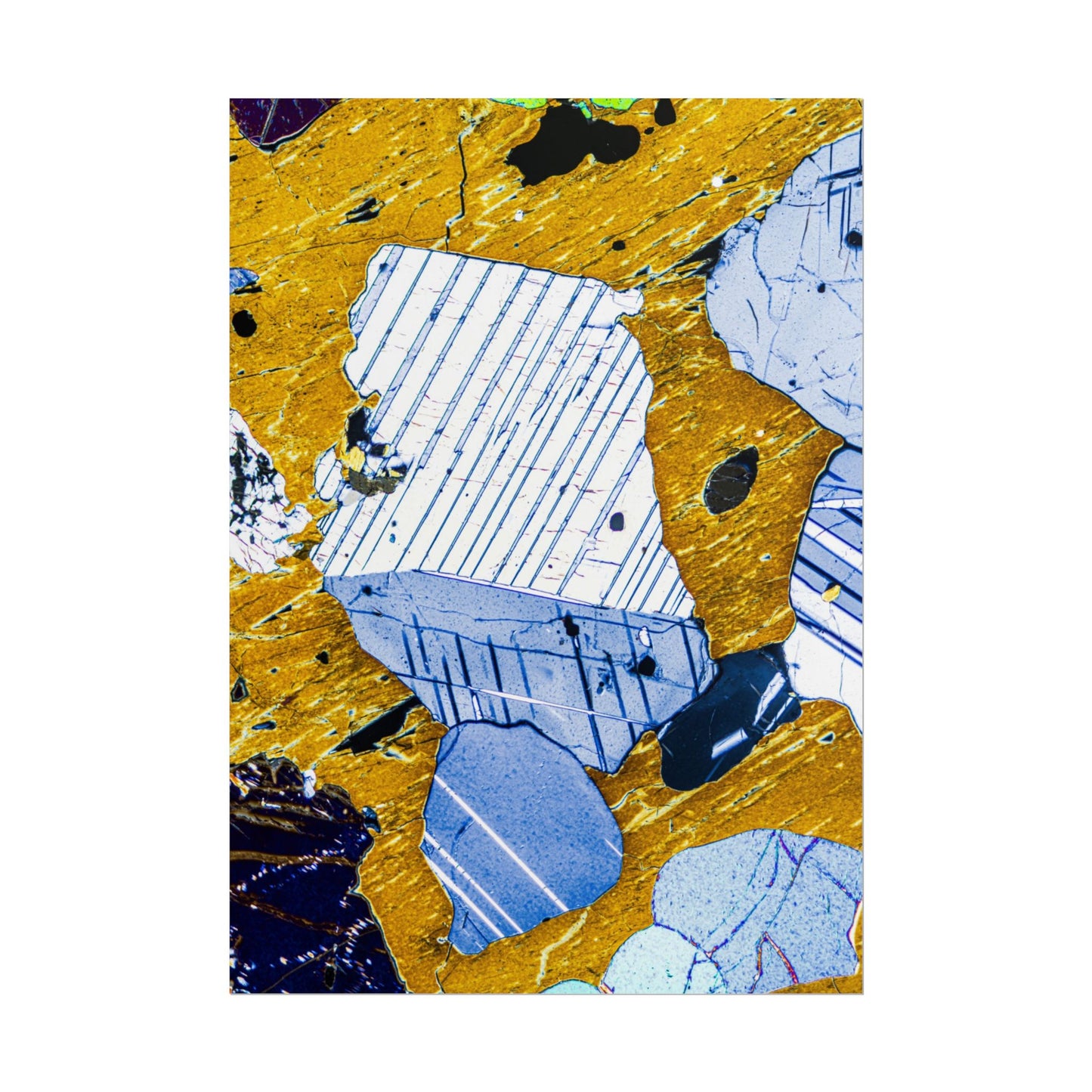 Plagioclase in Pyroxene Rolled Posters
