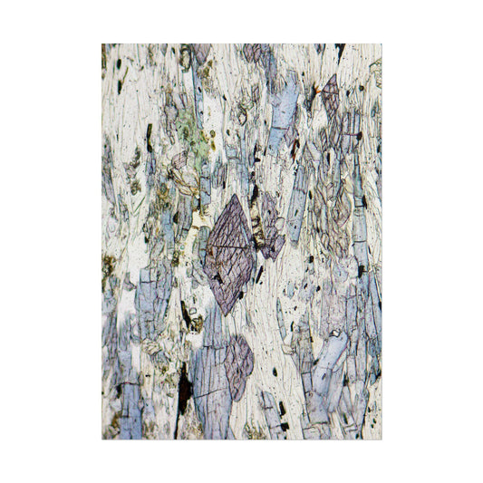 Blueschist 2.0 Rolled Posters