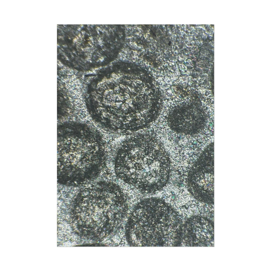 Oolitic Limestone Rolled Posters