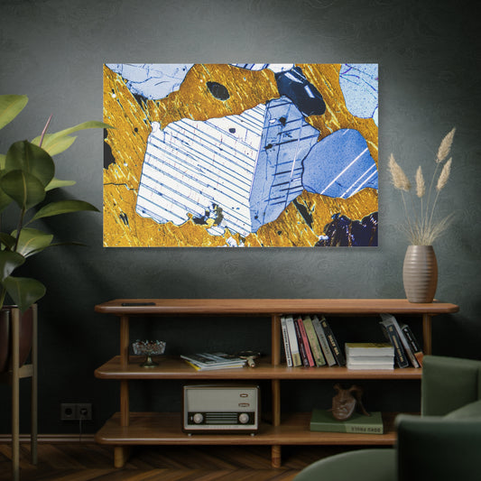 Plagioclase in Pyroxene Canvas Wall Art