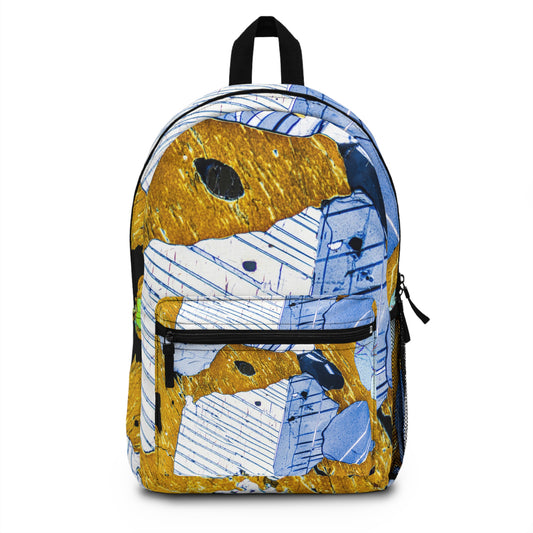 Plagioclase in Pyroxene Backpack