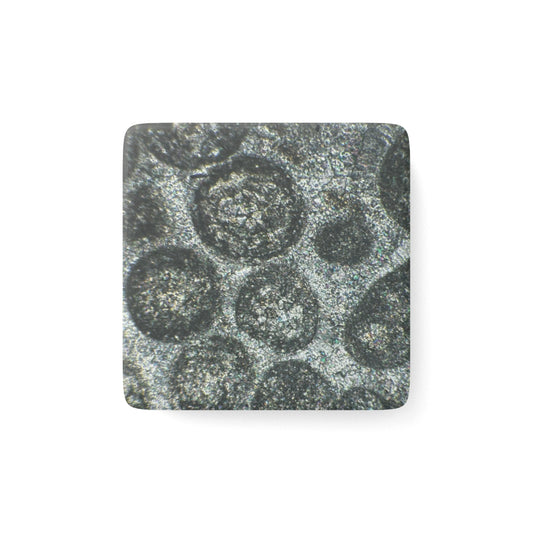 Oolitic Limestone Porcelain Magnet