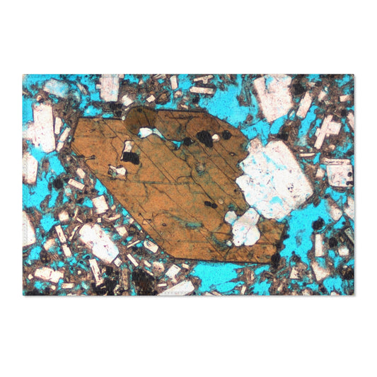 Andesite Area Rug