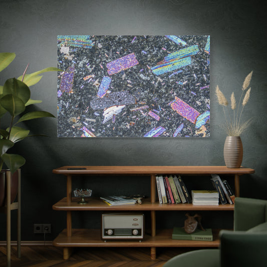Igneous Rock Canvas Wall Art