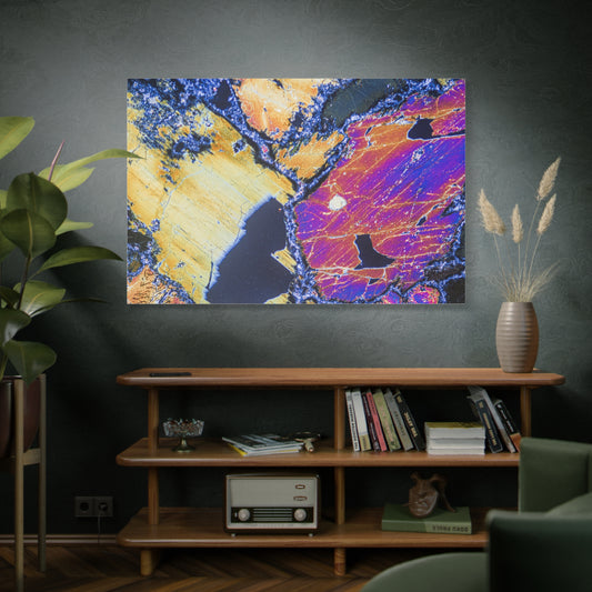 Clinopyroxene Wings Canvas Wall Art